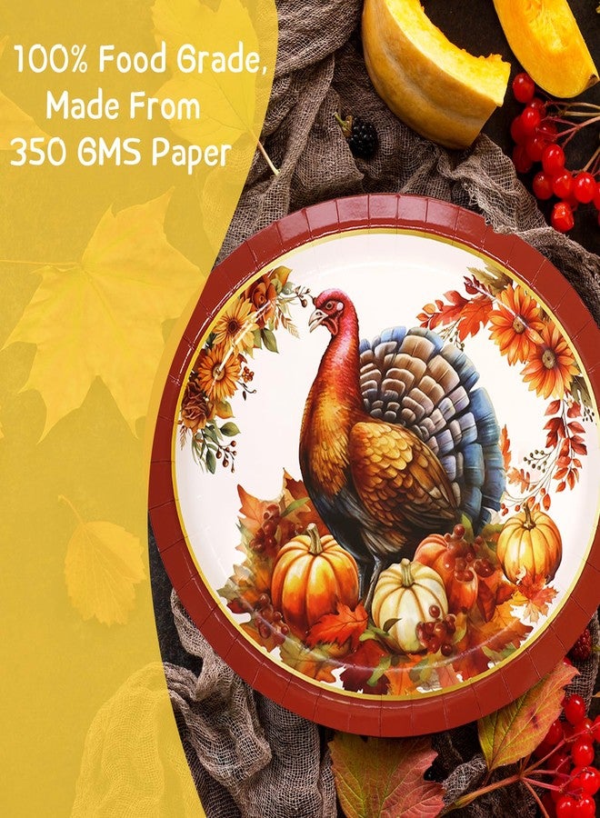 ceiba tree 24 PCS Thanksgiving Fall Oval Paper Plates Traditional Vintage Turkey Disposable Party Supplies 10" x 12" Table Tableware Decor Decorations - Image 3