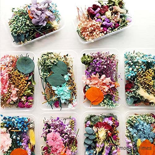 BRIGHTAIL INFRA 2 Boxes Natural Real Dried Flowers for Art Craft Mixed Soap, Candle, Scrapbook, DIY, Resin Tray Jewellery, Pendant- [Random Box, Multicolour] (2) - Image 1