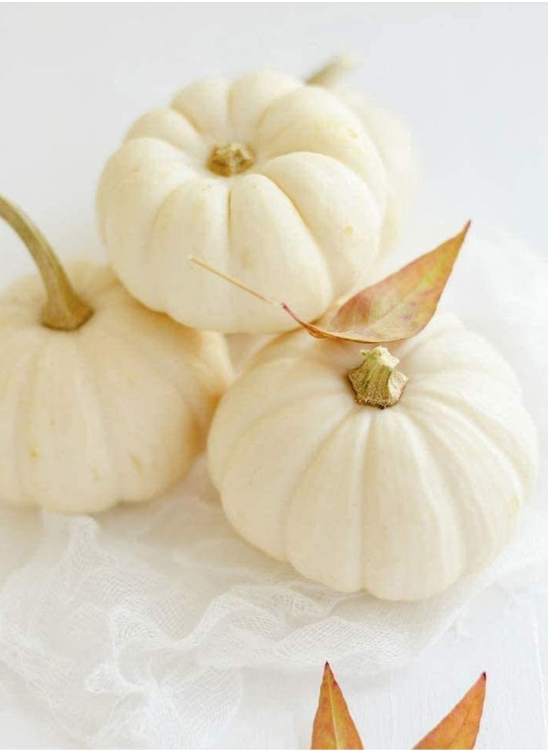 GGOOT - 80pcs Pumpkin Seeds Full of Life Green Health Non-GMO Vegetables - Image 1