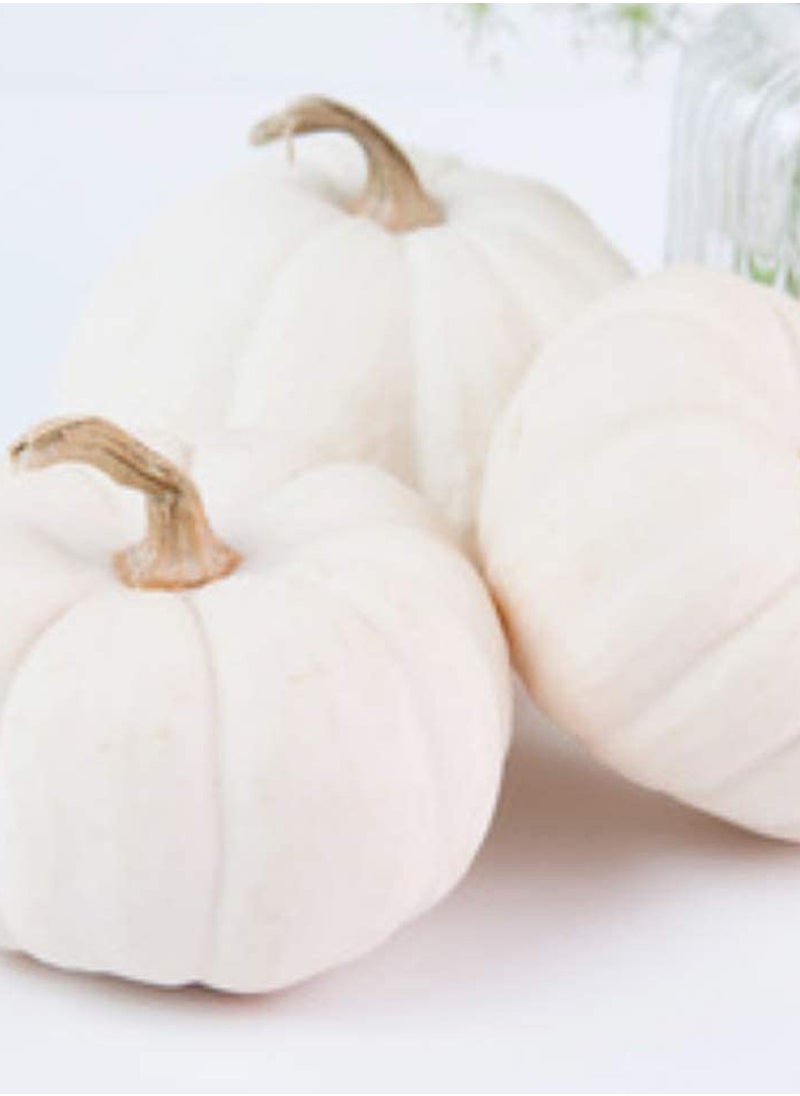 GGOOT - 80pcs Pumpkin Seeds Full of Life Green Health Non-GMO Vegetables - Image 1