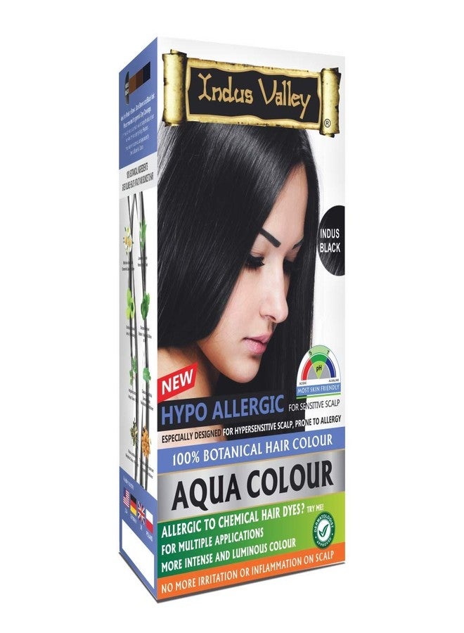Indus Valley Aqua Hair Color (Indus Black) Gray Coverage Hair Dye Allergy Free Organic Hair Color, Organic Hair Dye for Grey Coverage, Allergy-Free Long-Lasting Hair Colour - Image 1