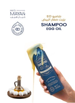 EGG OIL FORTIFYING EO FORTIFYING Korean Shampoo for Women and Men – The Perfect Solution for Hair Loss, Scalp Care, and Hair Regrowth with Natural Ingredients, 250 ml.  - Image 2