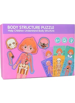 Generic Human Body Structure Puzzle  - Image 1