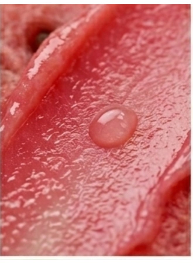Watermelon Nourishing Lip Balm and Gloss – Intense hydration and all-day chapping protection - Image 3