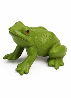 Excefore Frog Toys 5PCS Frog Life Cycle Figures Realistic Frog Life Stages Model Frog Life Cycle Amphibian Learning Toys  - Image 5