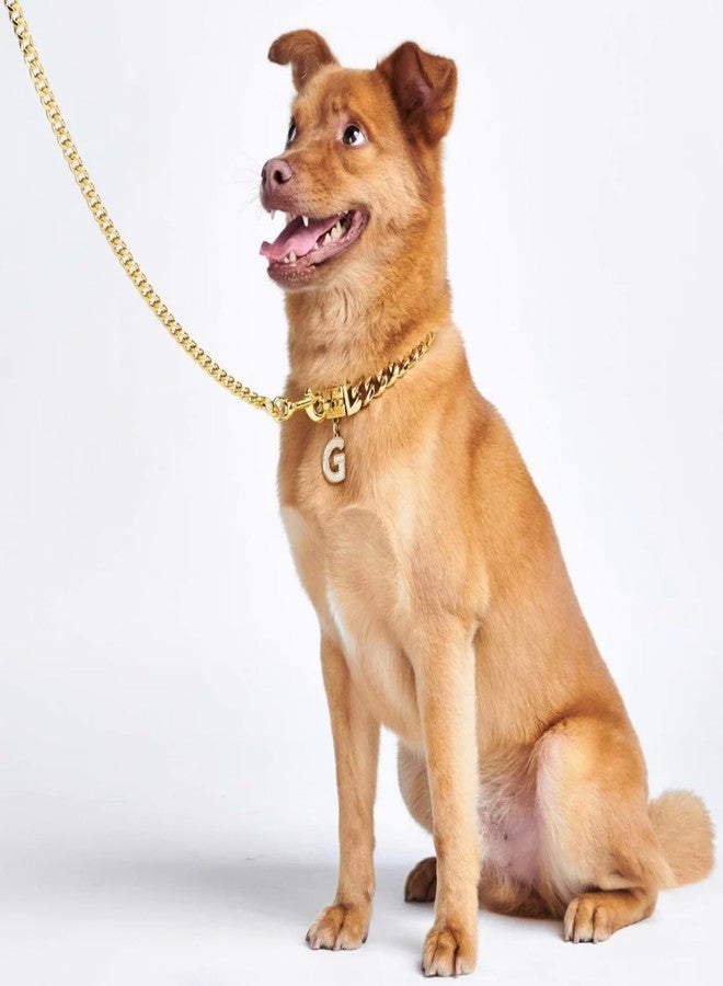 SUPER CHAIN Heavy Weight Diamond Cut Heavy Duty Dog (Large) Chain 160 cm Dog Chain Leash - Image 1