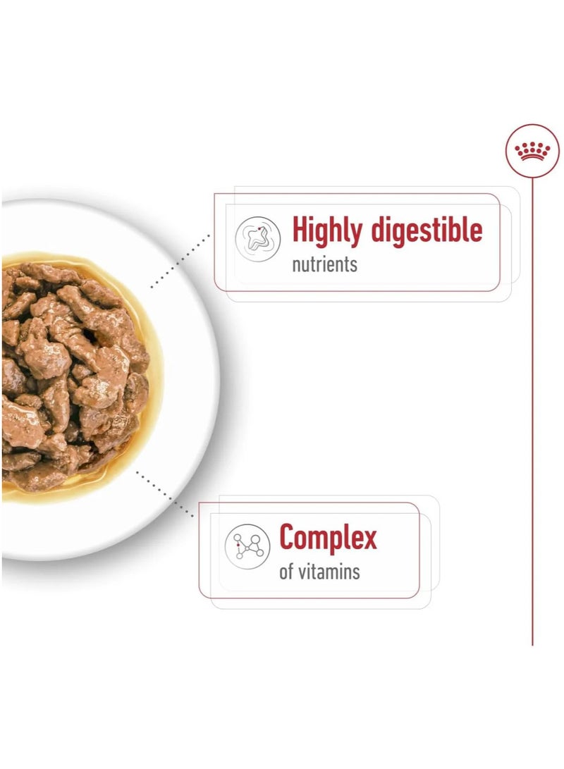 Royal Canin Mini Adult In Gravy-Salsa Wet Dog Food 85G - Image 4