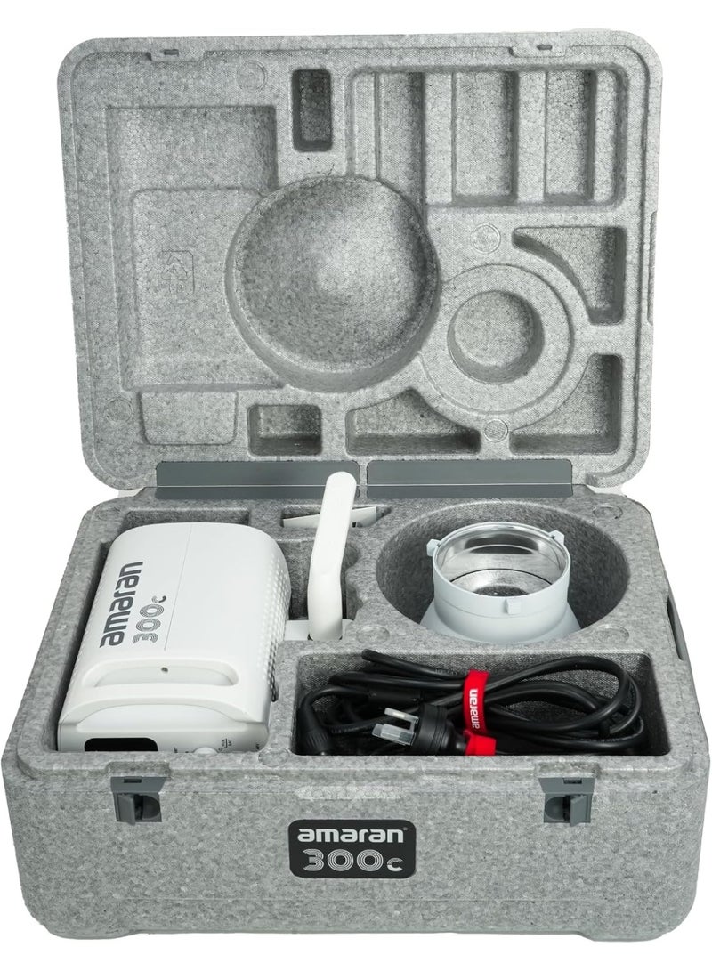 Amaran 300C White RGB LED Light - Image 2