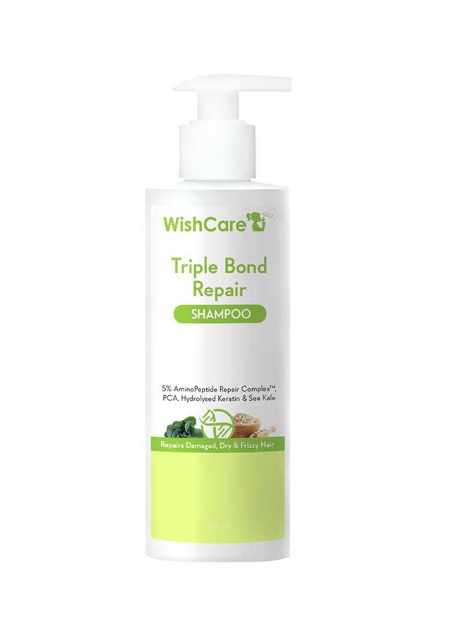 WishCare - Triple Bond Repair Shampoo for Dry & Frizzy Hair - 5% AminoPeptide Complex & PCA - Repairs Damaged & Frizzy Hair 250ml - Image 1