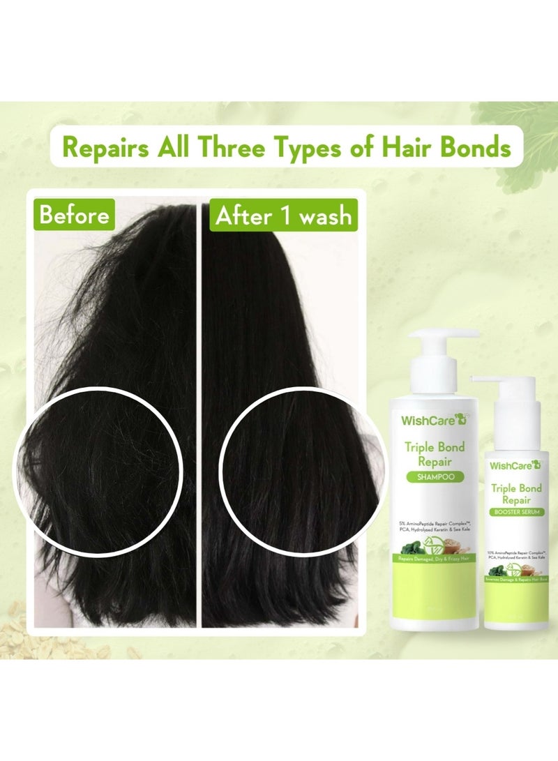 WishCare Triple Bond Repair Shampoo for Dry & Frizzy Hair | 5% AminoPeptide Complex & PCA | Repairs Damaged & Frizzy Hair | 250ml - Image 3