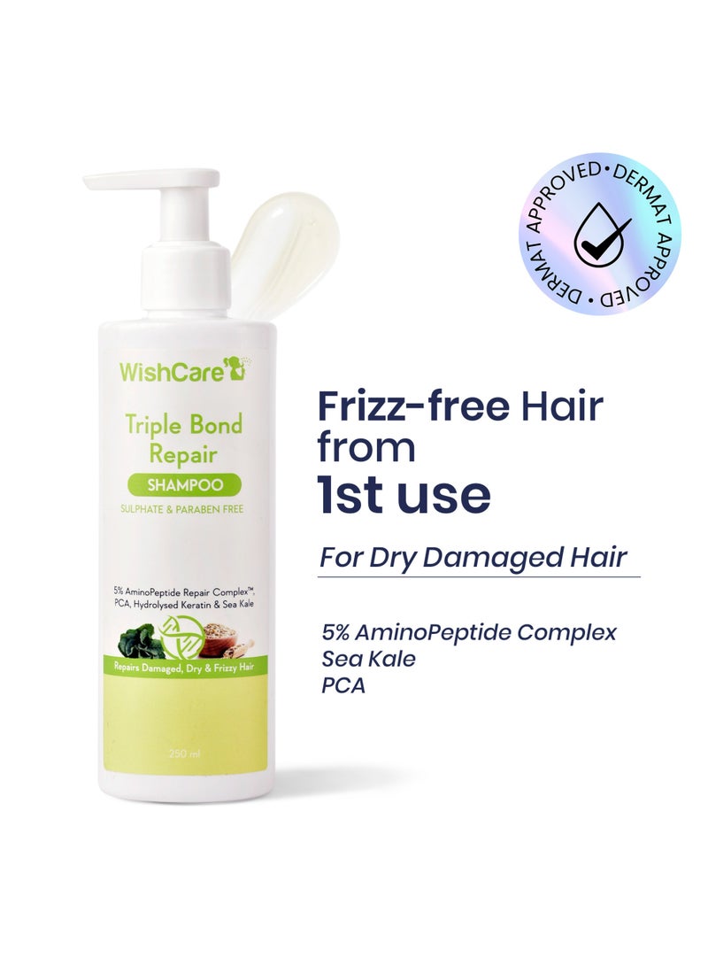 WishCare Triple Bond Repair Shampoo for Dry & Frizzy Hair | 5% AminoPeptide Complex & PCA | Repairs Damaged & Frizzy Hair | 250ml - Image 1