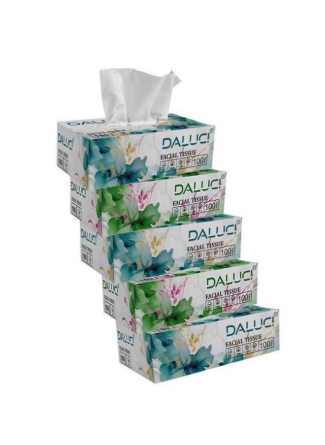DALUCI 2 Ply Facial Tissue Box Car Tissue (5 Boxes (500 Pulls))  - Image 1