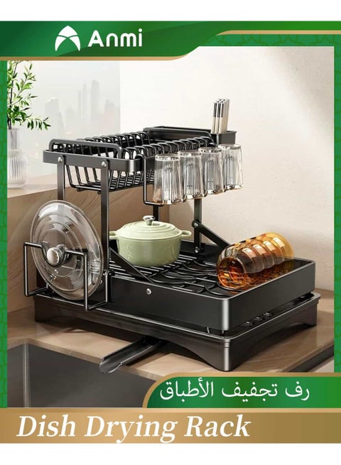 2 Tier Foldable Dish Rack, Double Storage Large Capacity, Kitchen Cutlery Drainer Rack with Water Conduit(Black)