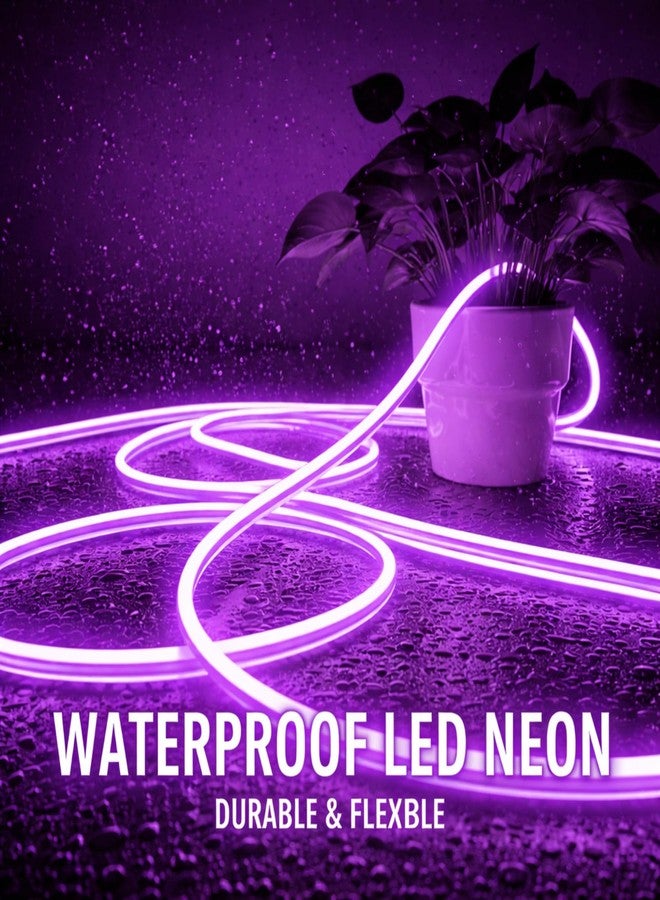 NEWNESS 5M Purple Neon LED Strip Light | IP65 Waterproof Indoor Outdoor Flexible Silicone Rope Light with 12V Adapter for Home Décor - Image 3