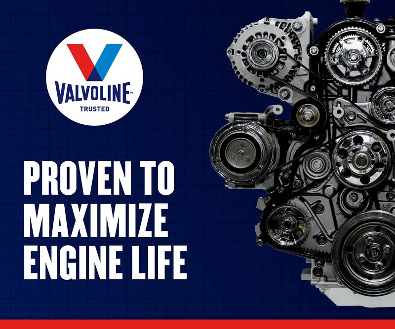 Valvoline Daily Protection 20W-50 ConventionalMotor Oil 1 Quart - Image 5