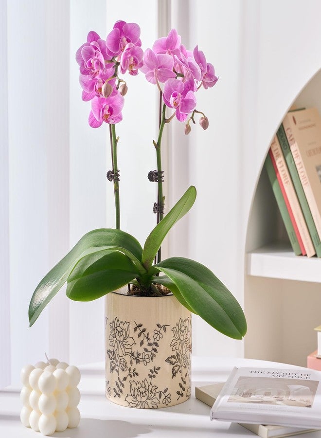 STHIE Indoor Ceramic Plant Pots with Drainage Holes 5 Inch Cute Succulent Flower Pots Small Orchid Planter Pots for Indoor Plants Garden Pots, Peony - Image 2