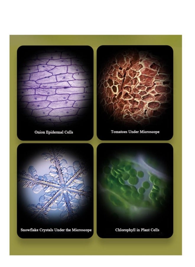 Portable Kids Microscope with LED Light - Handheld Pocket Microscope for Learning  Exploration,  for Scientific Experiments (White) - Image 3