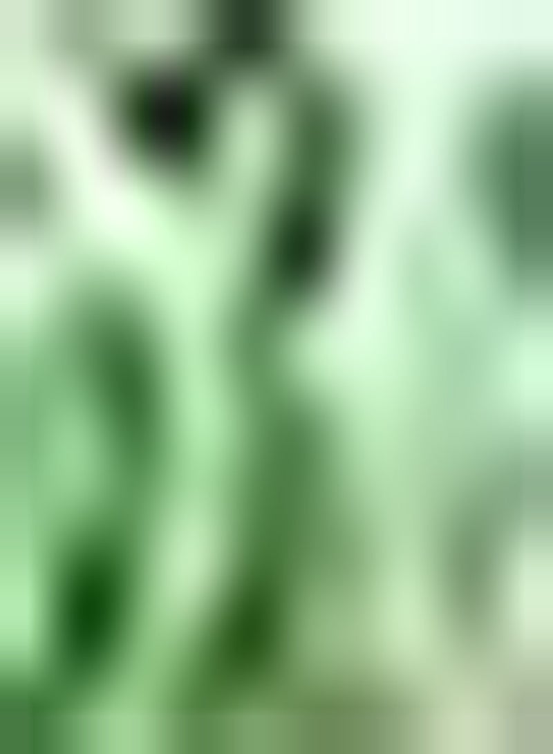 GGOOT 30pcs Groene Bittere Kalebas Zaden Jaarlijkse Tuin Patio Planten Gemakkelijk Te Onderhouden Oogpcs Perfect Voor Beginners in combinatie Met Andere Groenten - Image 1