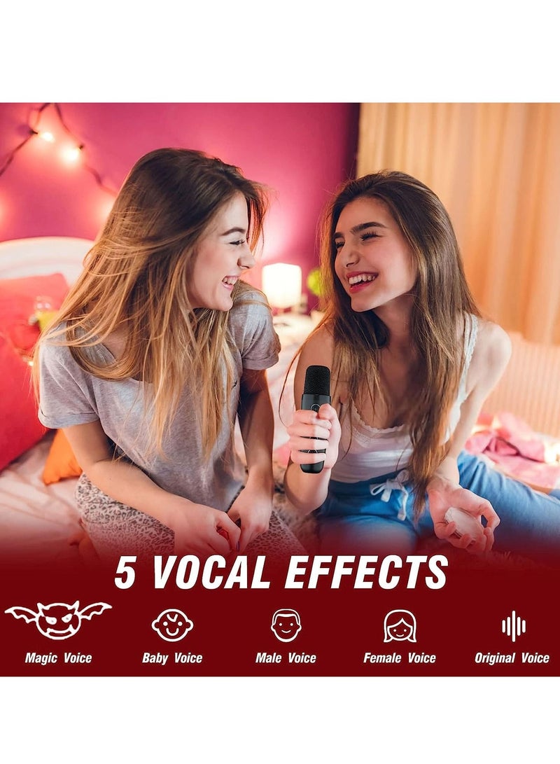 Karaoke Machine for Adults and Kids Portable Bluetooth Speaker PA System with 2 Wireless Karaoke Microphone  LED Party Lights Birthday Gift Home Party Meeting  - Image 4