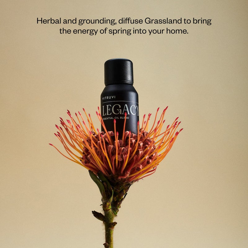 Vitruvi Legacy Woodsy Essential Oil Blend with Rose, Bergamot, Frankincense, Cedarwood - Image 3