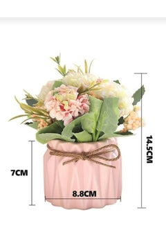 Taşdevri Life Candy Colors Decorative, Gift 4-Piece Succulent and Cactus Flower Pot Set, Presentation  - Image 4