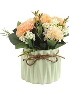 Taşdevri Life Candy Colors Decorative, Gift 4-Piece Succulent and Cactus Flower Pot Set, Presentation  - Image 3