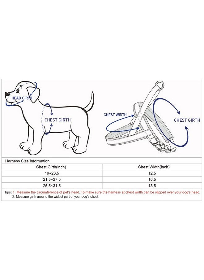 Blueberry Pet Blueberry Pet 6 Colors Soft & Comfy Jacquard Padded Dog Harness, Chest Girth 21.5" - 27.5", Teal Blue, S/M, Reflective Adjustable Harnesses for Dogs  - Image 5