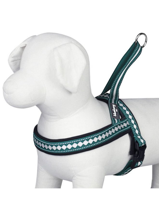Blueberry Pet Blueberry Pet 6 Colors Soft & Comfy Jacquard Padded Dog Harness, Chest Girth 21.5" - 27.5", Teal Blue, S/M, Reflective Adjustable Harnesses for Dogs  - Image 3
