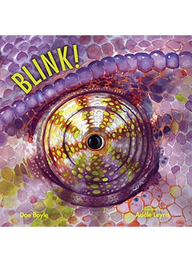 BLINK - Hardback