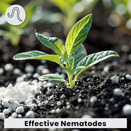 The Environmental Factor NemaKnights Slow-Release Nematodes - Biological Pest Control for Fungus Gnats, Thrips, & Whiteflies (280g, Treats Up to 50 Planters) - Image 4