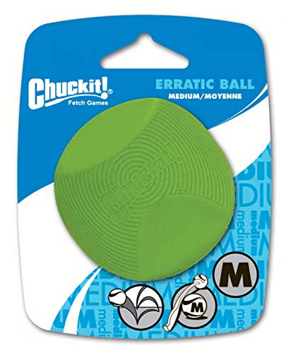 Chuckit Erratic Ball Dog Fetch Toy Medium 25 Inch 1Pack - Image 1
