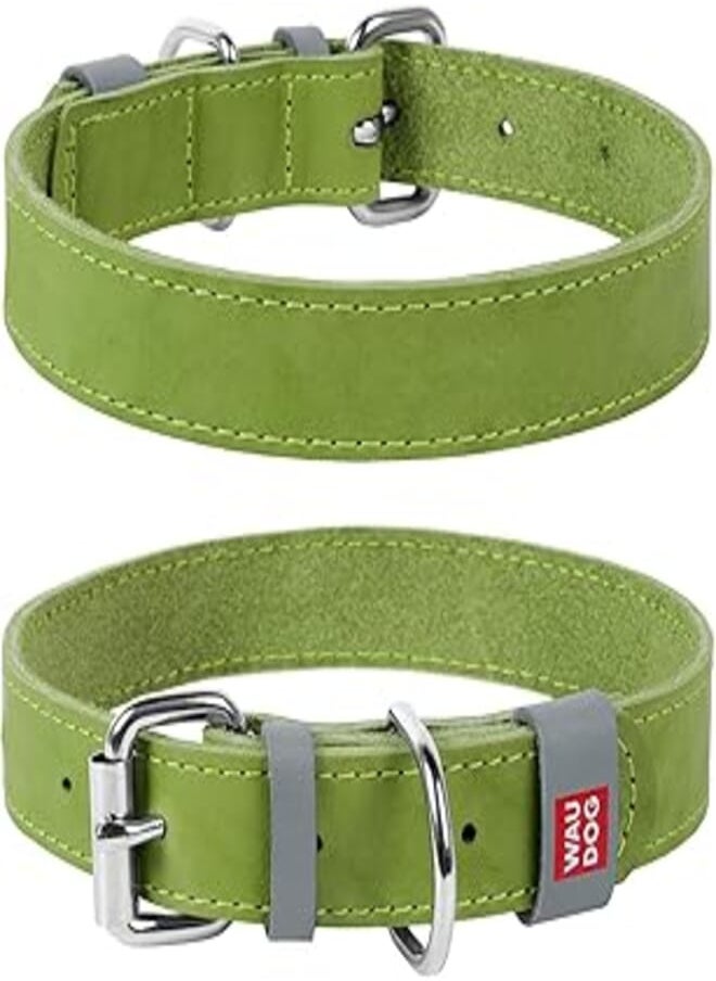 WauDog - Dog Collar WAUDOG Classic genuine leather, XL, W 35 mm, L 46-60 cm, green - Image 1