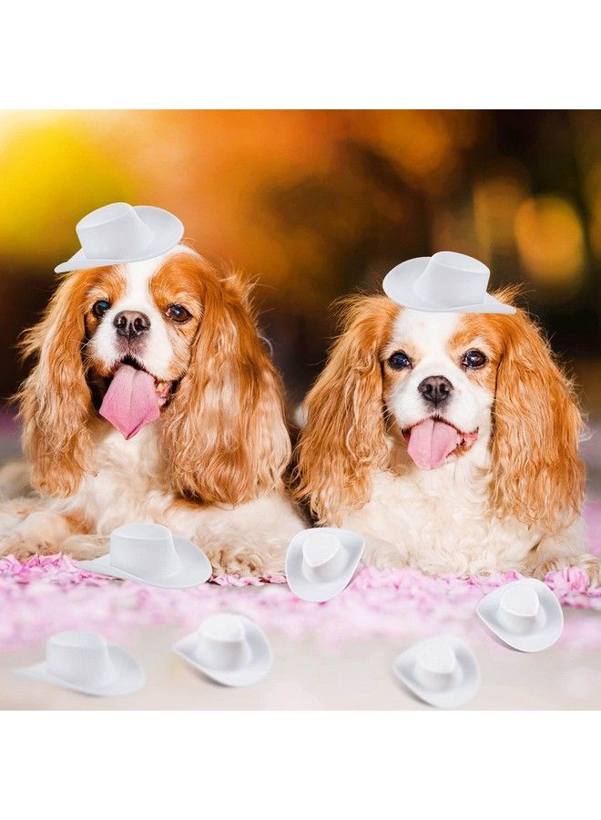 FFNIU 20Pcs Mini Western Cowboy Hat Plastic Cute Doll Hats Miniature Cowboy Cowgirl Hat Party Hat For Pretend Play Dollhouse Decoration - Image 3