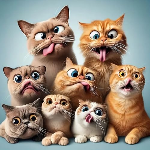 MOMDEDP Cat Diamond Painting Kits for Adults, Cat Diamond Art Kits for Beginners, 5D DIY Animal Diamond Dot Art, Full Drill Gem Craft for Home Decor 12x12 inch - Image 1
