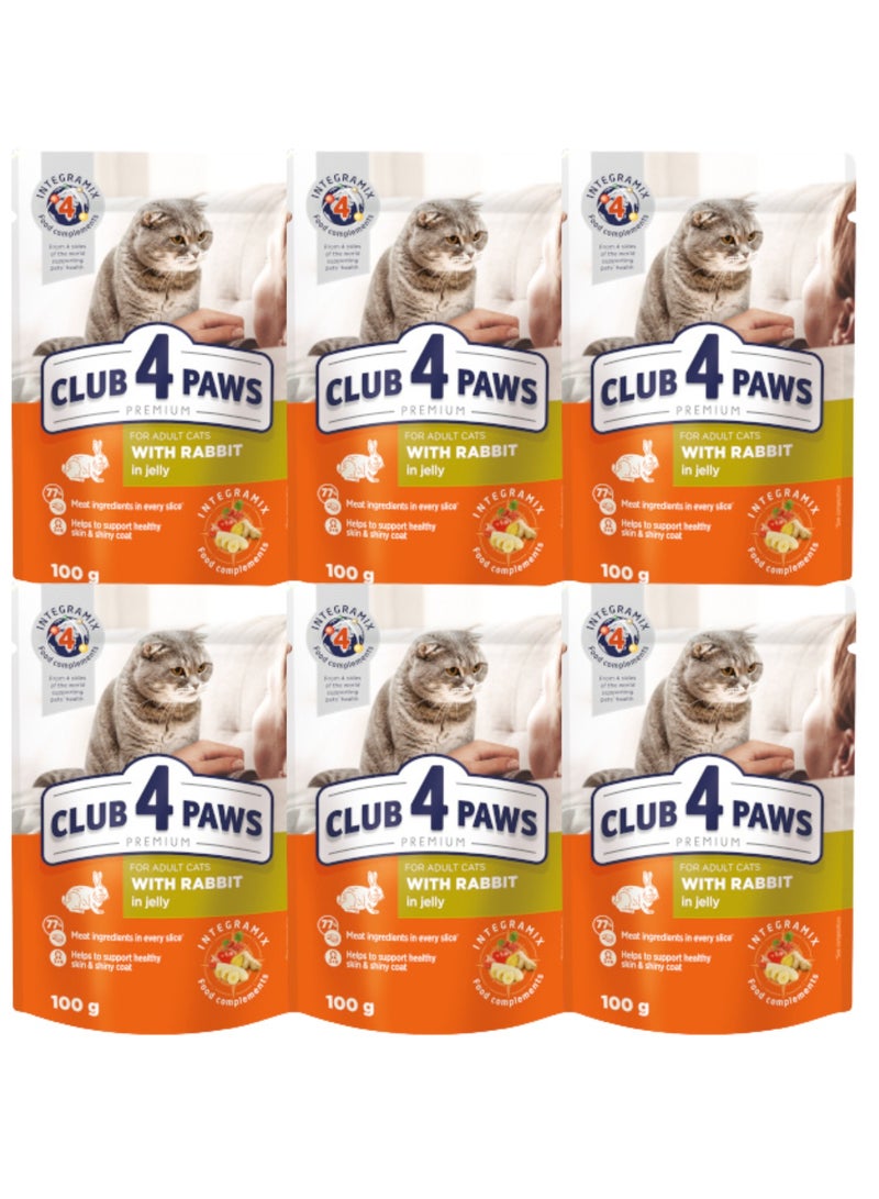 Cat Wet Food For Adult Cats Rabbit In Jelly Flavor - 6x100g -  77% Meat Content Supports Skin & Coat Health