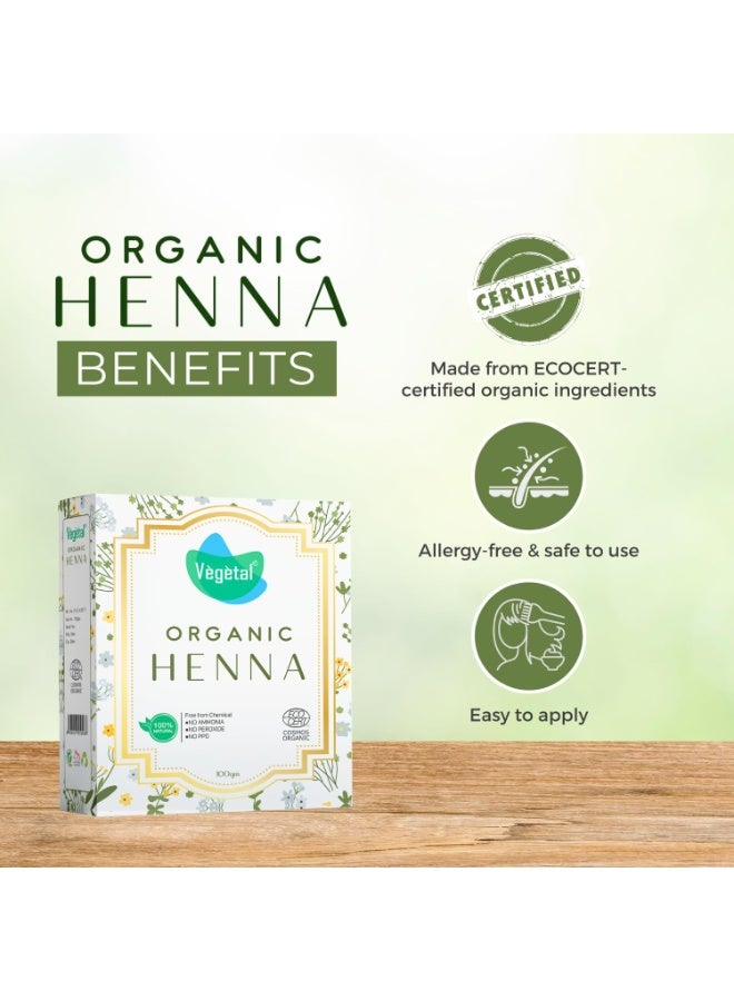 فيجيتال مسحوق الحناء العضوي المعتمد - حناء طبيعية 100% نقية، عشبية (مهندي) للشعر واليدين والقدمين - 100 غرام - Image 1