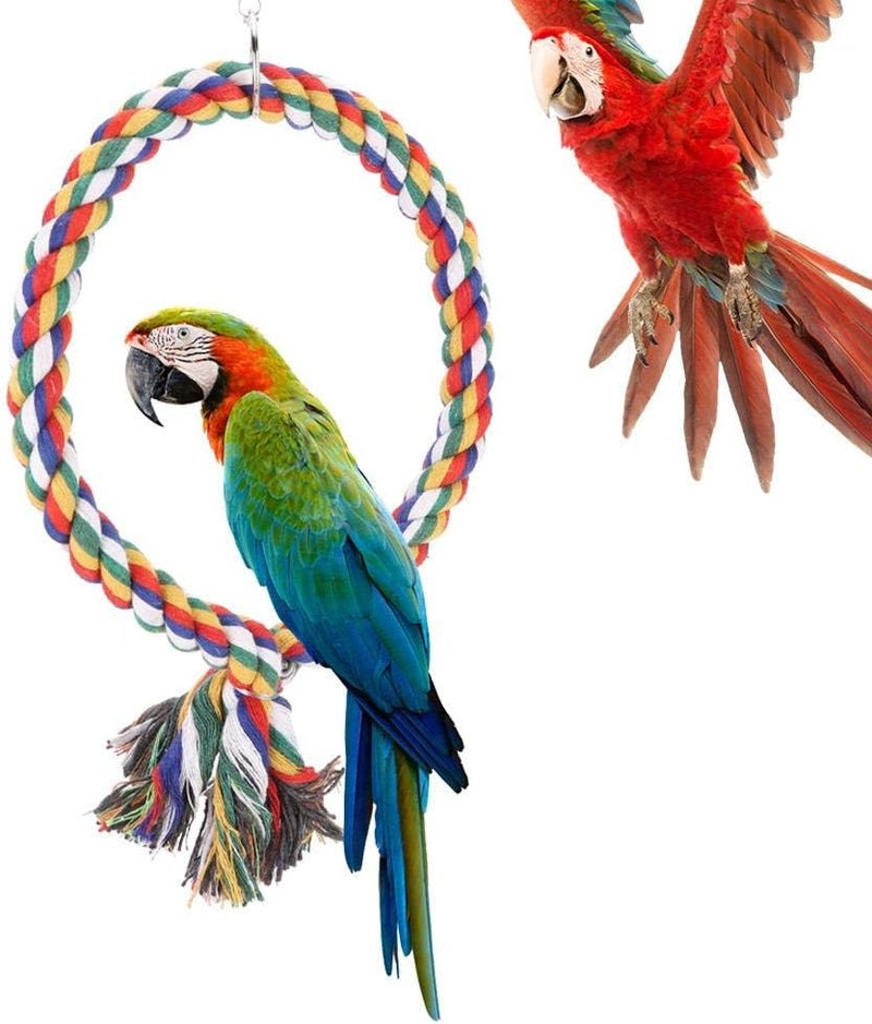 Zerodis Bird Rope Toy，Round Circle Rings Colorful Cotton Rope Swing Toy Pet Bird Standing Playing Chewing Perches Loop for Parrot Parakeet Bungee Canary Cockatiel Lovebirds - Image 3