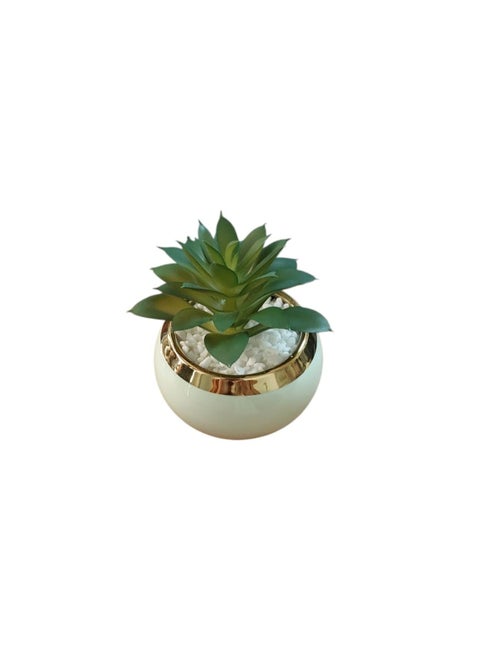 "An elegant, circular decorative vase made of mint green ceramic with a shiny gold finish on top. It features a green faux succulent plant surrounded by white pebbles, adding a touch of sophistication and tranquility to any office or corner of the home. "