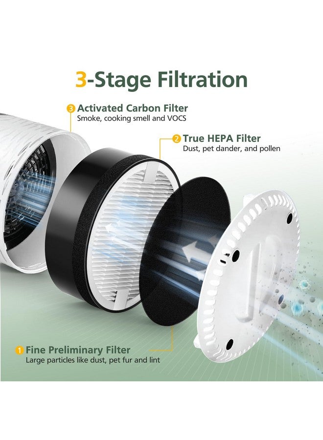 isinlive فلتر بديل LV-H132 متوافق مع جهاز تنقية الهواء LEVOIT LV-H132، فلاتر مسبقة، فلتر HEPA حقيقي H13، فلتر كربون نشط، الجزء رقم LV-H132-RF، عبوة 2 - Image 2