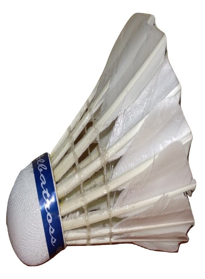 ALBATROSS International Badminton Feather Shuttle Cock (Pack of 10) - Image 3