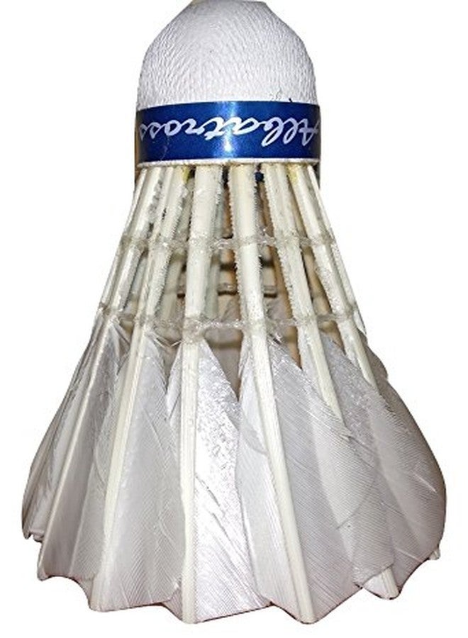 ALBATROSS International Badminton Feather Shuttle Cock (Pack of 10) - Image 2