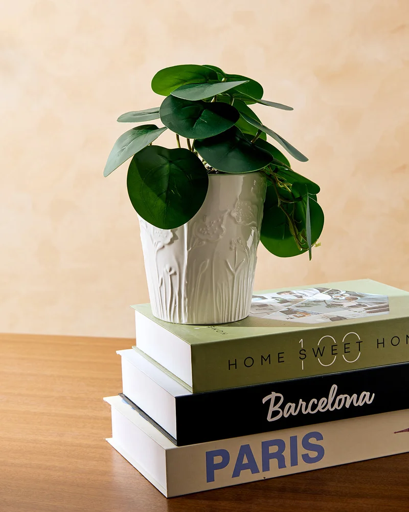 REDTAG Green Artificial Plant With White Ceramic Planter