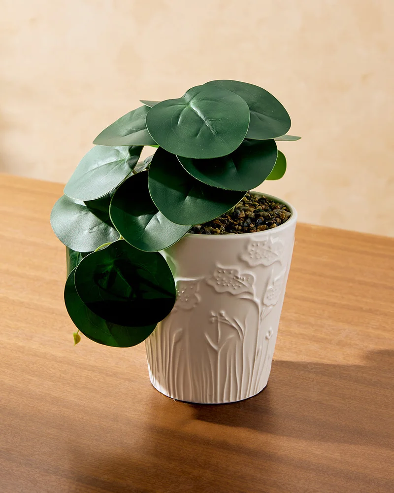 REDTAG Green Artificial Plant With White Ceramic Planter
