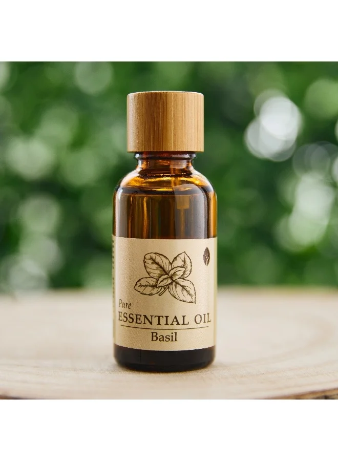 Home Box Seyna Basil Aroma Oil 30 ml