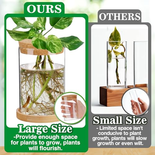 Big Gun Biggun Plants Propagation Station - 2Pcs Desktop Plant Terrarium Glass Hydroponic Vases, Water Plant Jars, Gardening Gifts for Women Mom Plant Lovers (Thick Straight Shape, Separated Tray Style) - Image 2