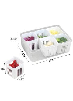 ShebSheb Food Storage Containers with Lids Fruit&Veggie Tray with 6pcs Small Dividers Plastic Storage Bins  - Image 5