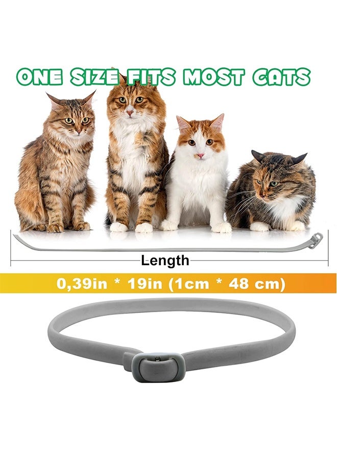 طوق البراغيث للقطط، ضد اليرقات والبيض، حماية فعالة لمدة 8 أشهر، حماية من حساسية الجلد، ناعم ومريح، قابل للتعديل، مقاوم للماء - Image 5