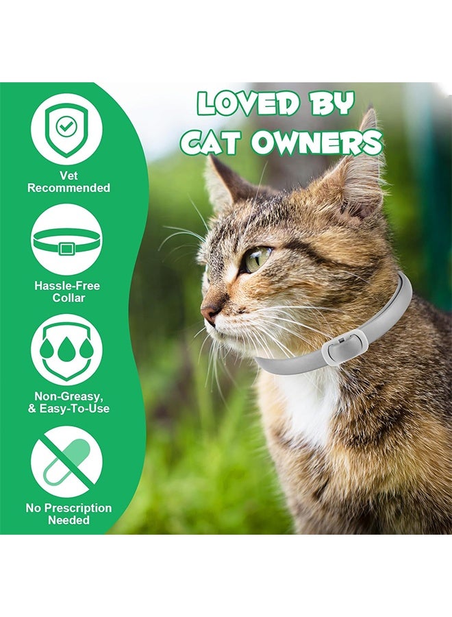 طوق البراغيث للقطط، ضد اليرقات والبيض، حماية فعالة لمدة 8 أشهر، حماية من حساسية الجلد، ناعم ومريح، قابل للتعديل، مقاوم للماء - Image 4