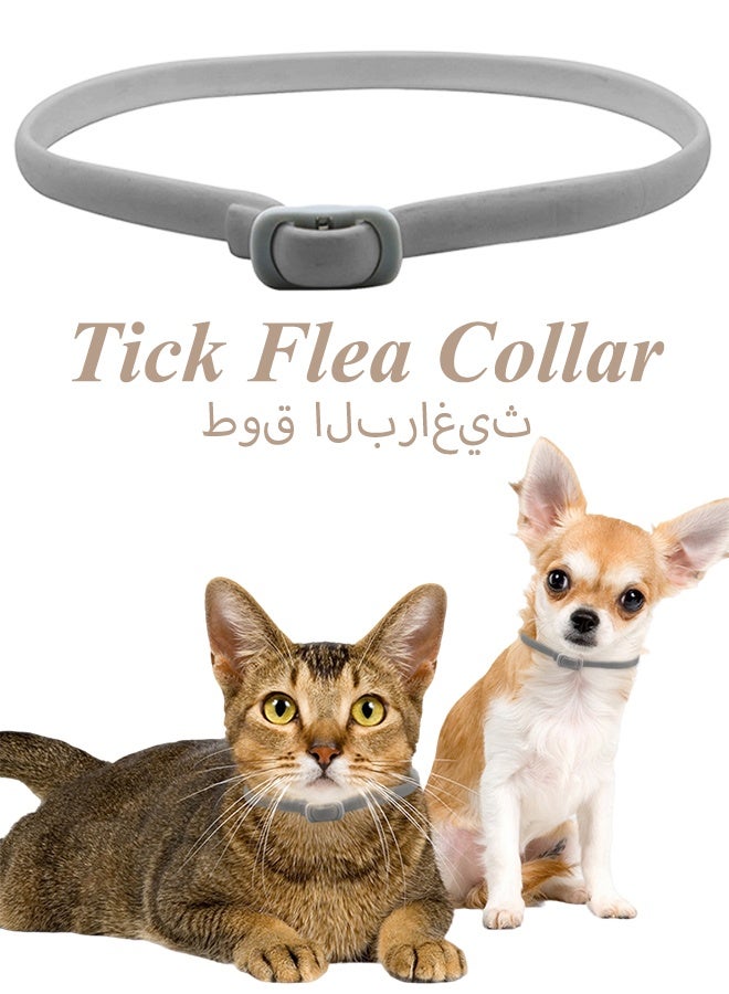 طوق البراغيث للقطط، ضد اليرقات والبيض، حماية فعالة لمدة 8 أشهر، حماية من حساسية الجلد، ناعم ومريح، قابل للتعديل، مقاوم للماء - Image 1