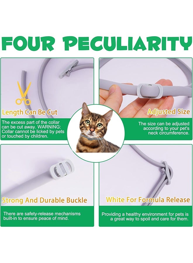 طوق البراغيث للقطط، ضد اليرقات والبيض، حماية فعالة لمدة 8 أشهر، حماية من حساسية الجلد، ناعم ومريح، قابل للتعديل، مقاوم للماء - Image 2